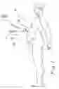 Fig. 02 - Sealed surgical access device