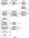 Fig. 04 - Medical device information system