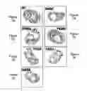 Fig. 09 - Quantitative assessment of biological function based on the temporal and spatial organization of subnuclear domains