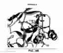 Fig. 16 - Nucleic acids and proteins with thioredoxin reductase activity