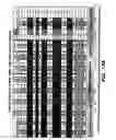 Fig. 22 - Nucleic acids and proteins with thioredoxin reductase activity