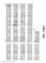 Fig. 72 - Nucleic acids and proteins with thioredoxin reductase activity