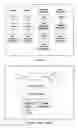 Fig. 02 - Method and apparatus for using software automatically and without user interaction the same way people would use such software
