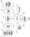 Fig. 08 - Method of payment and settlement of goods and services via the INTERNET