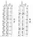 Fig. 09 - Conditional execution per lane