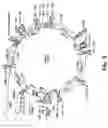 Fig. 06 - Artificial chromosomes, uses thereof and methods for preparing artificial chromosomes