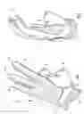 Fig. 02 - Glove for dry erase surfaces and method of erasure