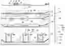 Fig. 01 - Circular knitting machine, particularly for producing items of clothing with three-dimensional shapes
