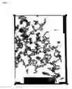 Fig. 05 - Metal nanoparticles and method for manufacturing same