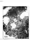 Fig. 09 - Metal nanoparticles and method for manufacturing same