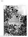 Fig. 10 - Metal nanoparticles and method for manufacturing same