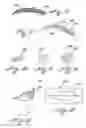 Fig. 06 - Imprinting device for a cosmetic product and method of using same