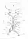 Fig. 02 - Dual U-leg table frame