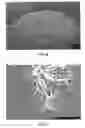 Fig. 10 - Consumable electrode arc welding