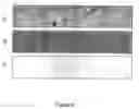 Fig. 06 - Near infrared chemical imaging microscope