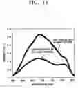 Fig. 07 - Electroluminescent device and method for preparing the same