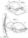 Fig. 02 - Object retention device for use with headwear
