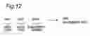 Fig. 11 - Satellite digital broadcast receiving device