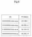 Fig. 07 - IP telephone system, IP telephone apparatus and calling method