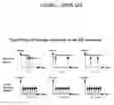 Fig. 02 - Method and apparatus for surgical high speed follower jamming based on selectable target direction
