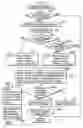 Fig. 76 - Recording medium, reproduction apparatus, recording method, integrated circuit, program and reproduction method