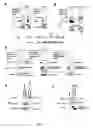 Fig. 02 - Vector-mediated gene regulation in midbrain dopamine neurons