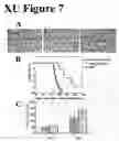Fig. 08 - Recombinant trail vectors and uses thereof