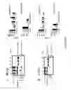 Fig. 06 - Altered insulin-like growth factor binding proteins