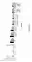 Fig. 07 - Altered insulin-like growth factor binding proteins