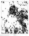Fig. 06 - Discontinuous surface coating for particles