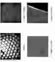 Fig. 02 - Porous beads and method of production thereof