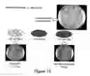 Fig. 12 - Functional polymers via surface modifying agents, and methods for polymeric surface modification