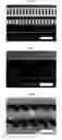 Fig. 02 - Liquid-repellent, alkali-resistant coating composition and coating suitable for pattern forming