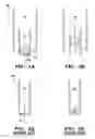 Fig. 06 - STATIC PRESSURE STABILIZER FOR LOCAL EXHAUST
