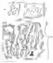 Fig. 04 - Golf course and method of play