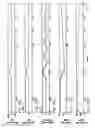 Fig. 17 - Method and apparatus for elastic tailoring of golf club impact