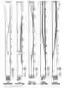 Fig. 18 - Method and apparatus for elastic tailoring of golf club impact