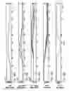 Fig. 19 - Method and apparatus for elastic tailoring of golf club impact