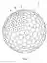 Fig. 04 - Golf ball