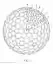 Fig. 08 - Golf ball