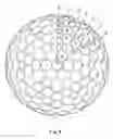Fig. 10 - Golf ball