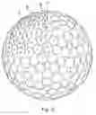 Fig. 13 - Golf ball