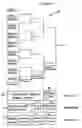 Fig. 05 - Flex schedule playoff system
