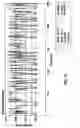 Fig. 14 - Transmission and constant speed accessory drive