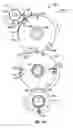 Fig. 11 - Sheet folding apparatus and method