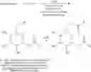 Fig. 02 - Structural family on non-ionic carbohydrate based surfactants (NICBS) and a novel process for their synthesis