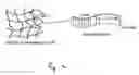 Fig. 02 - Beta sheet tapes ribbons in tissue engineering