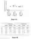 Fig. 05 - Method of treating an autoimmune disease