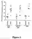 Fig. 06 - Method of treating an autoimmune disease