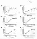 Fig. 06 - Conjugates of insulin-like growth factor-1 and poly(ethylene glycol)
